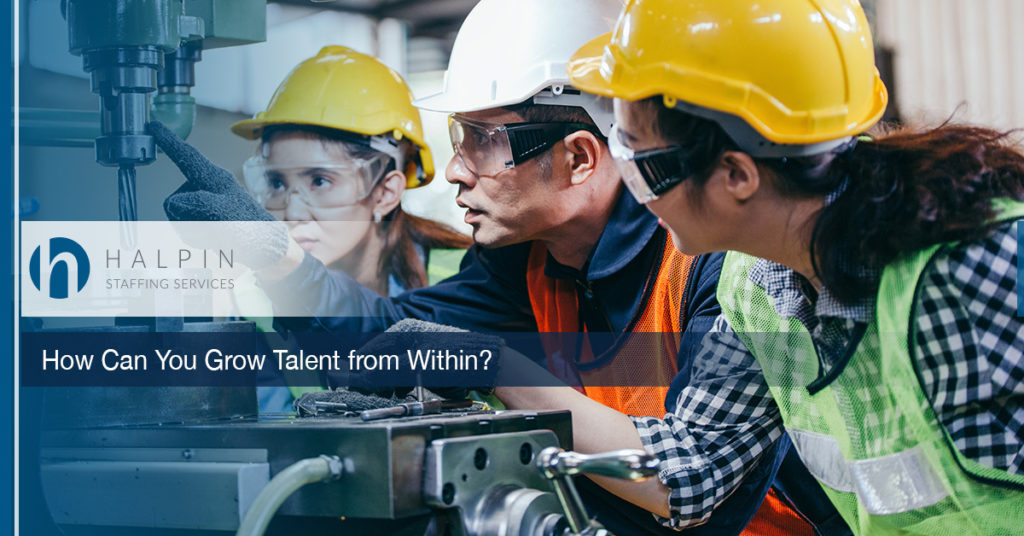 How Can You Grow Talent from Within? | Halpin Staffing Services